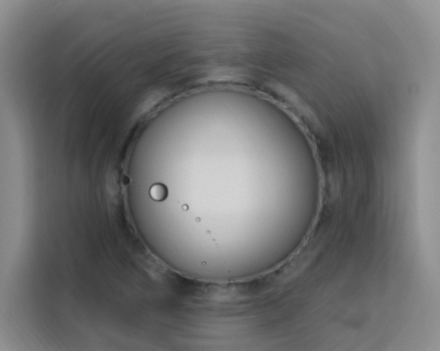 X0000113741266200909301004