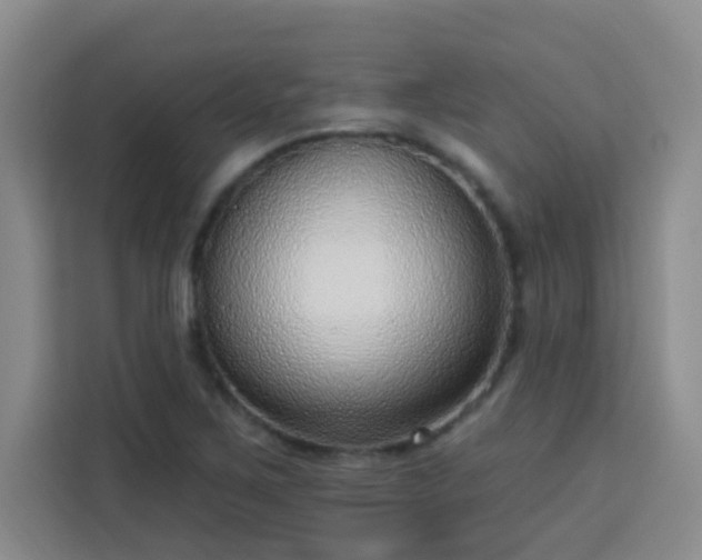 X0000113741267200909301004