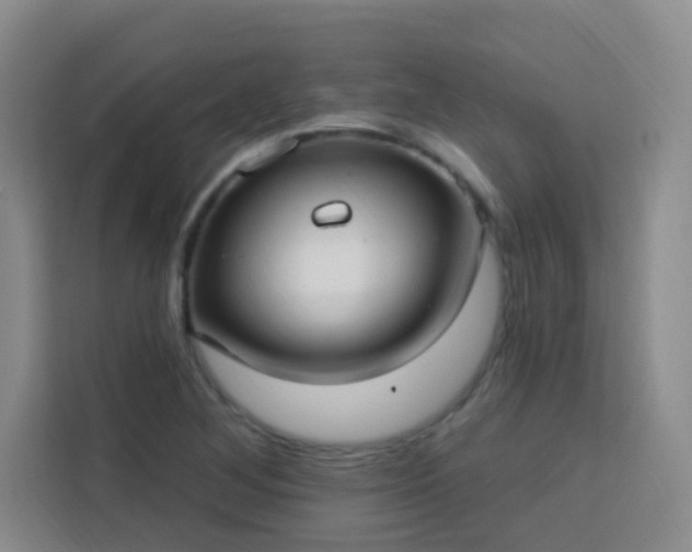 X0000113741268200909301004