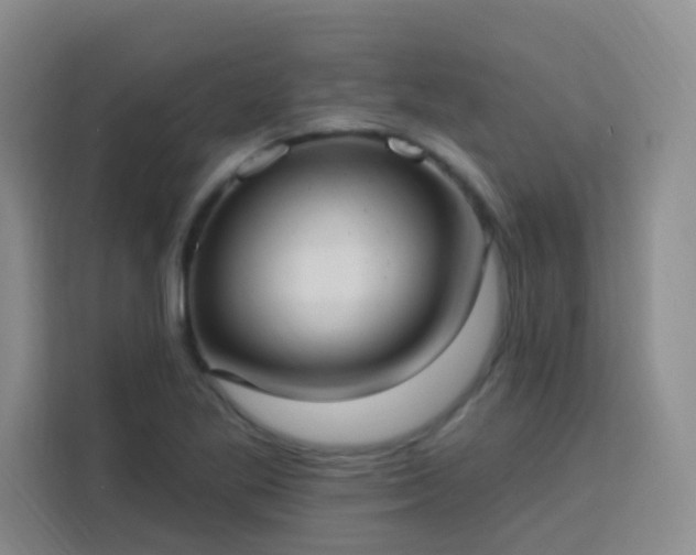 X0000113741269200909301004