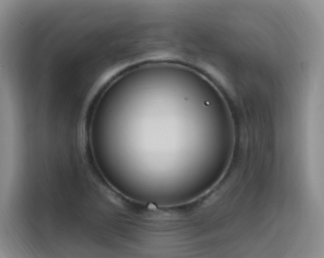 X0000113741270200909301004