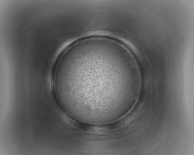 X0000113741271200909301004