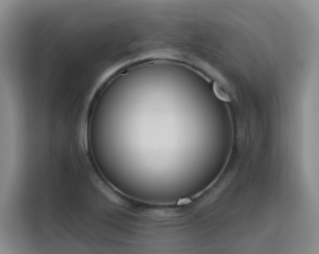 X0000113741272200909301004