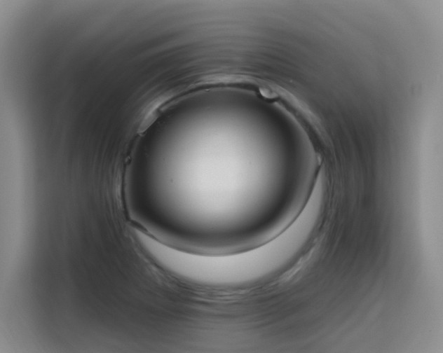 X0000113741273200909301004