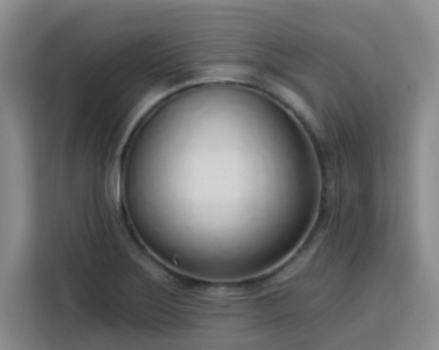 X0000113741275200909301004