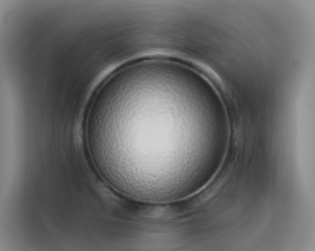 X0000113741279200909301004