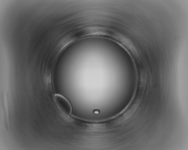 X0000113741281200909301004