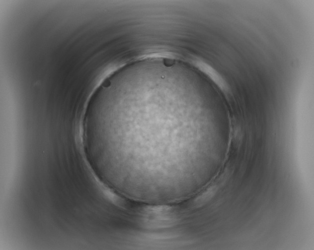 X0000113741282200909301004