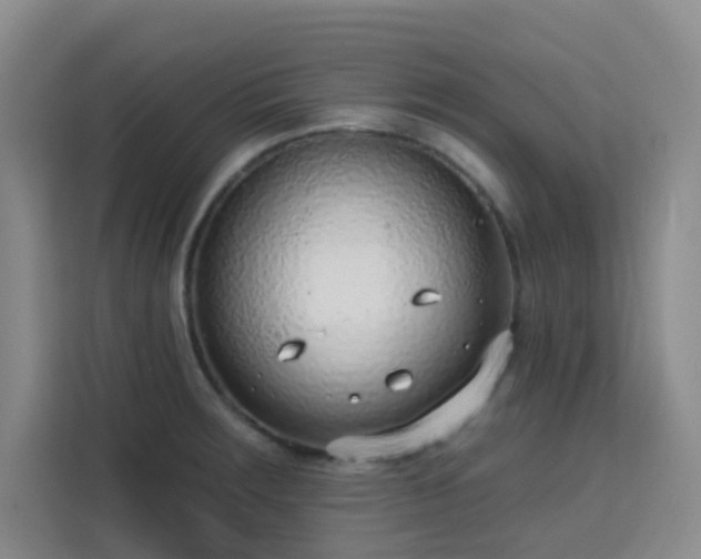 X0000113741283200909301004