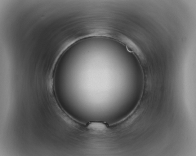 X0000113741284200909301004