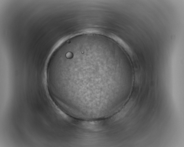 X0000113741286200909301004