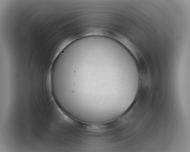 X0000113741290200909301004