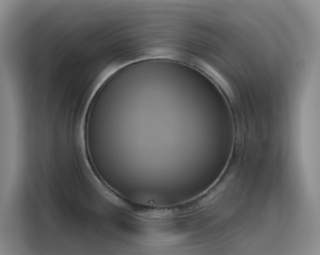 X0000113741291200909301004