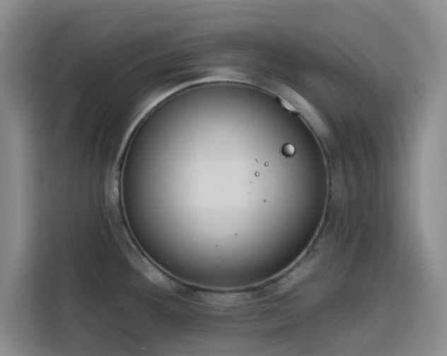 X0000113741292200909301004