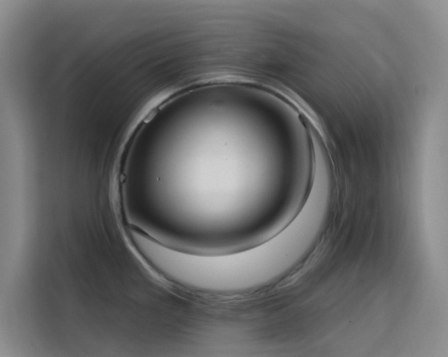 X0000113741293200909301004