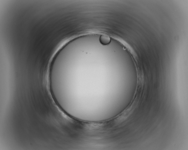 X0000113741294200909301004