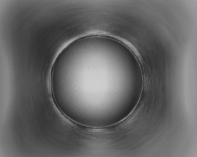 X0000113741295200909301004