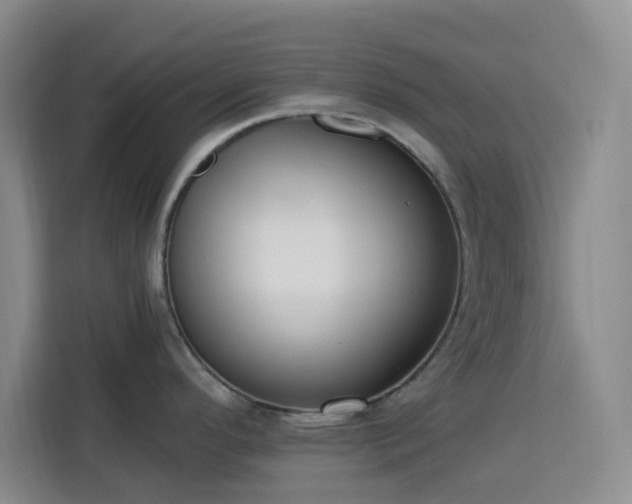 X0000113741296200909301004