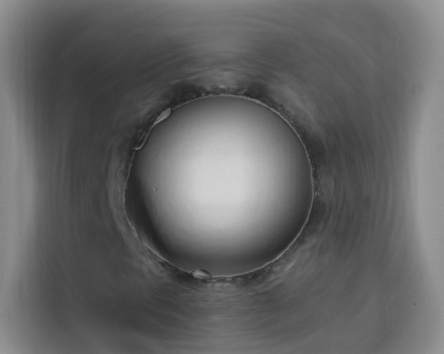 X0000113741297200909301003