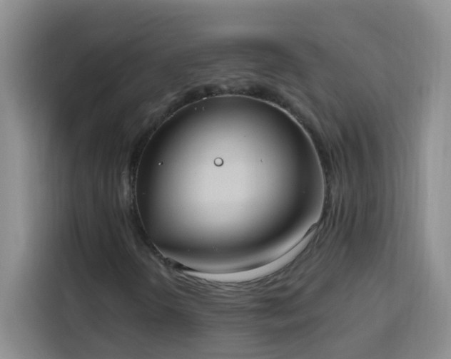 X0000113741298200909301003