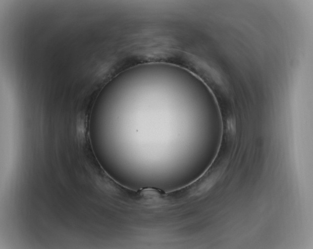 X0000113741300200909301003