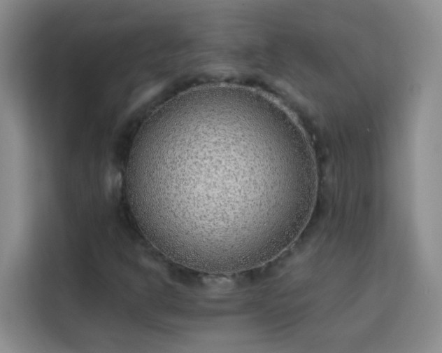 X0000113741302200909301003