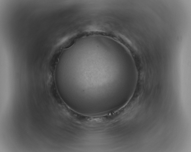 X0000113741303200909301003