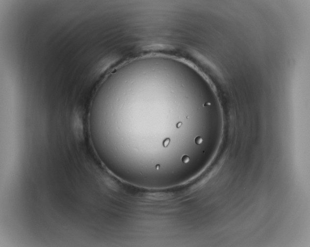 X0000113741305200909301003