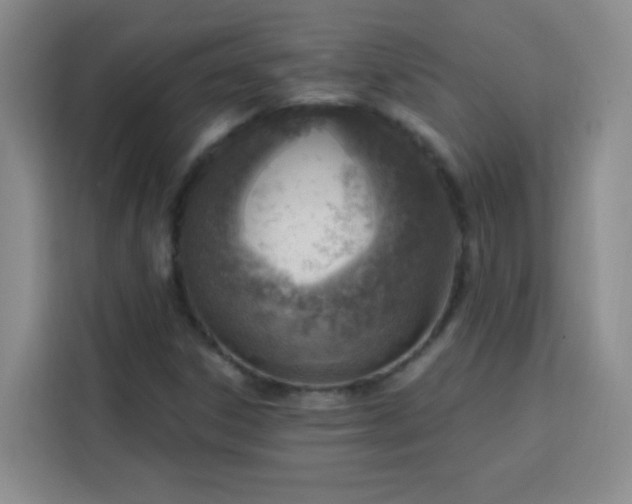 X0000113741306200909301003