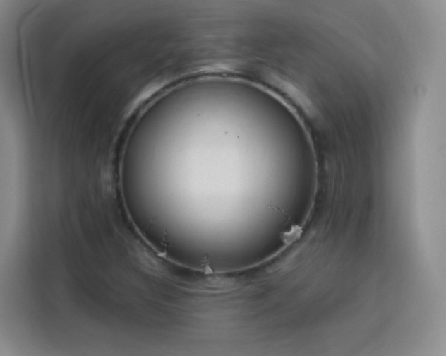 X0000113741308200909301003