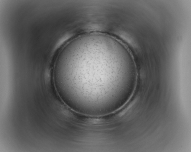 X0000113741309200909301003