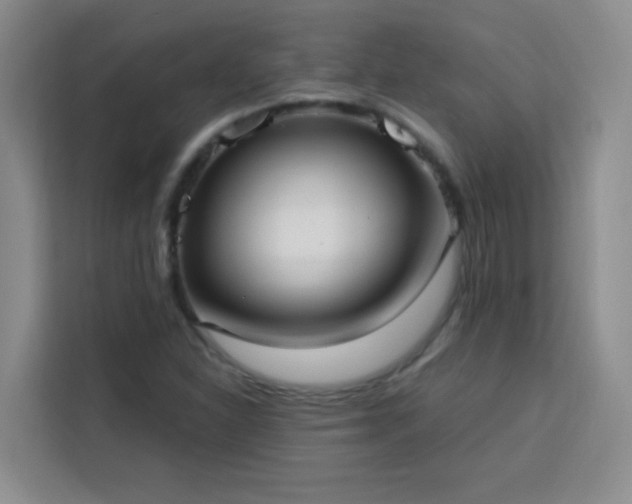 X0000113741310200909301003