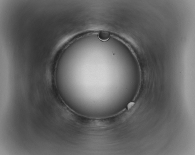 X0000113741311200909301003