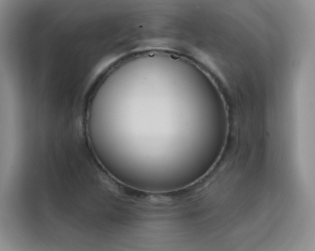 X0000113741312200909301003