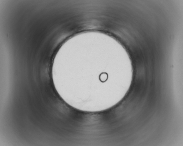 X0000113741314200909301003