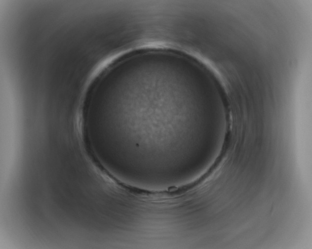 X0000113741319200909301003