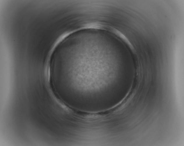 X0000113741323200909301003