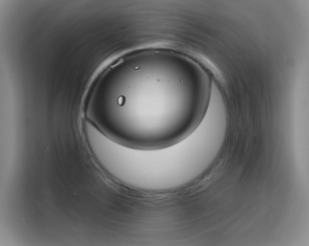 X0000113741324200909301003