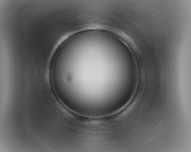 X0000113741326200909301003