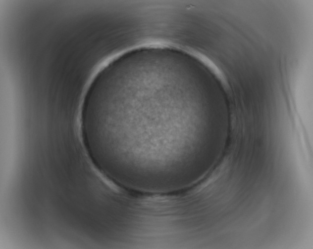 X0000113741327200909301003