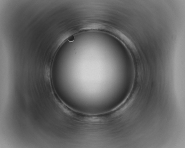 X0000113741329200909301003