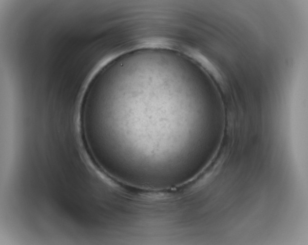 X0000113741331200909301003