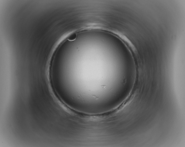 X0000113741333200909301003