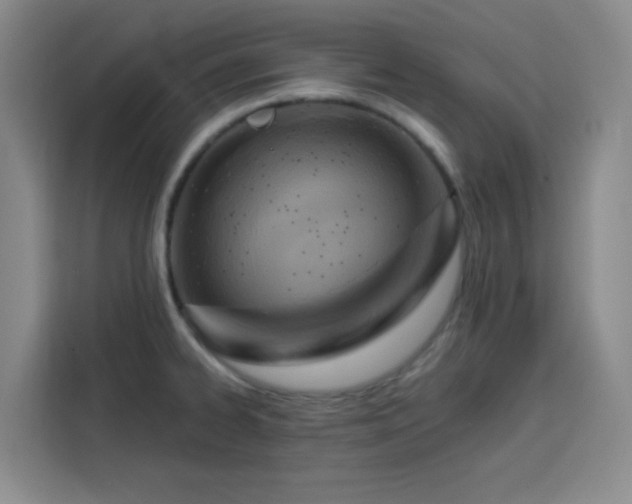 X0000113741334200909301003