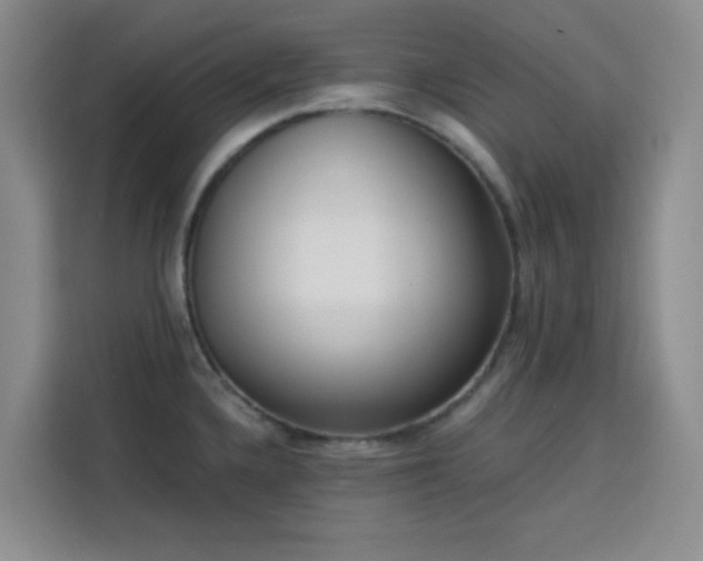 X0000113741336200909301003