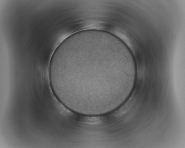 X0000113741338200909301003