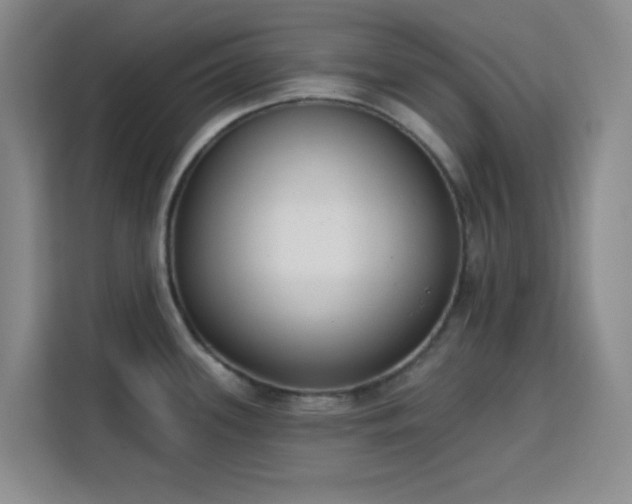 X0000113741339200909301003