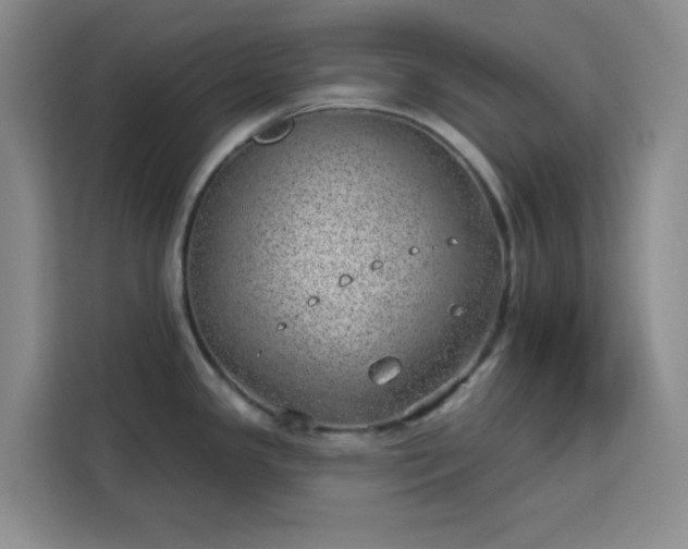 X0000113741341200909301003