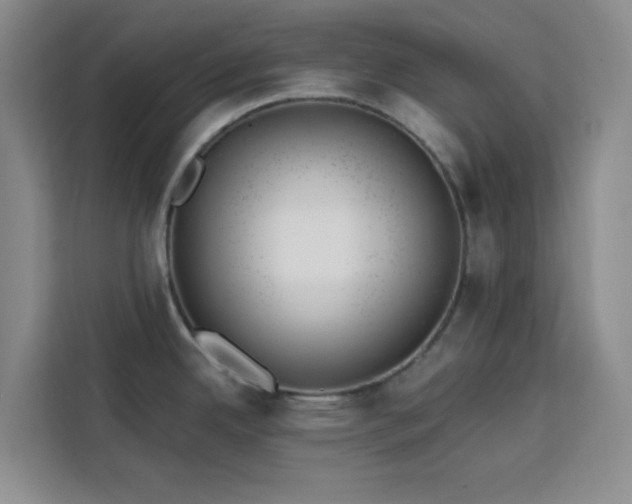 X0000113741342200909301003