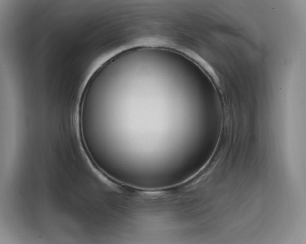 X0000113741343200909301004